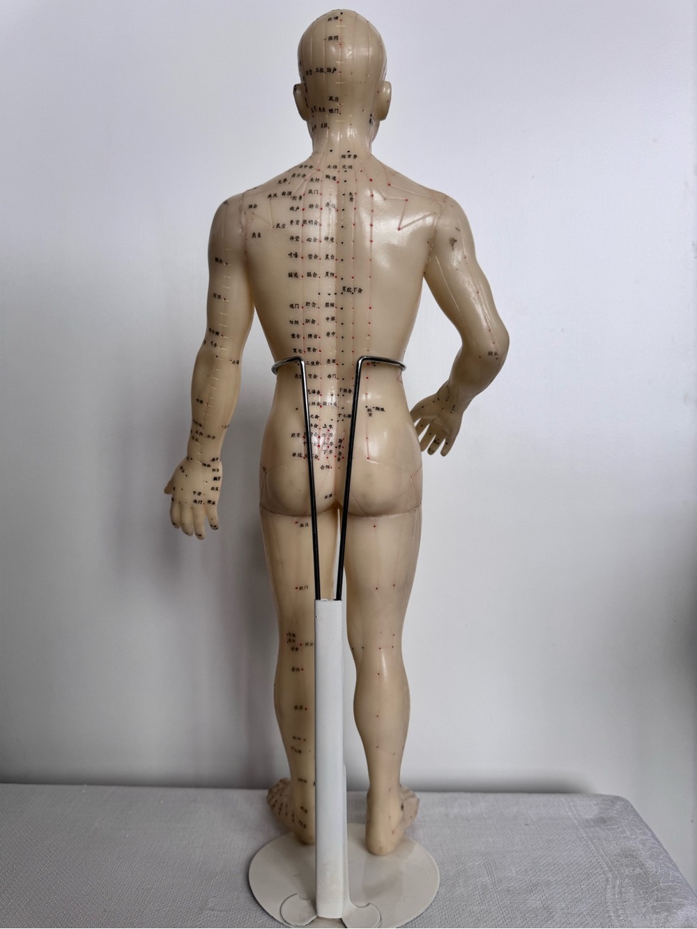 Vintage Acupuncture Model Nude Male Rubber Dummy w Vintage Avon Book - Picture 12 of 12